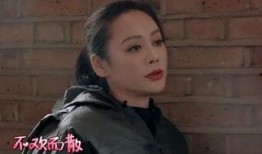 郑爽宁静最新爆料,最新爆料揭露惊人内幕